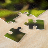 Dandelion in sunlight puzzle (Seite)