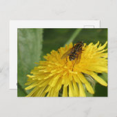 Dandelion & Insect DIY Postkarte (Vorne/Hinten)