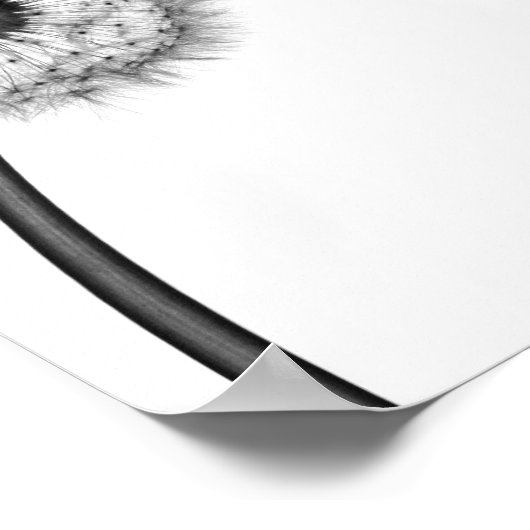 Dandelion Inspiration 16" x 12", Matte Poster (Ecke)