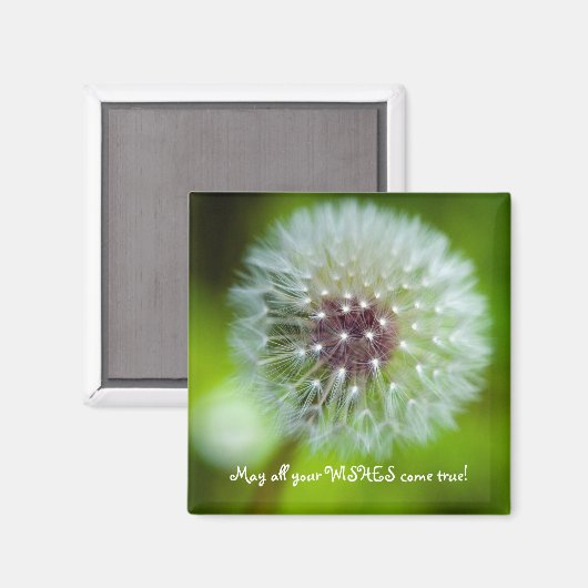 Dandelion Kühlschrank Magnet (Vorderseite/Rückseite)