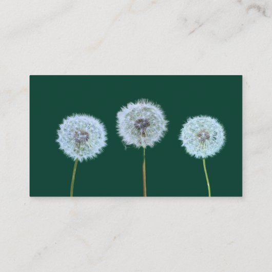 Dandelion Lawn Care Landscaper Visitenkarte (Rückseite)