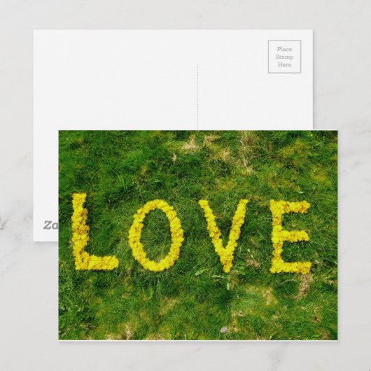 Dandelion-Liebe Postkarte (Vorne/Hinten)