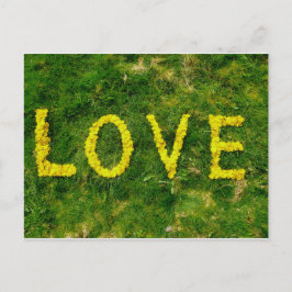 Dandelion-Liebe Postkarte