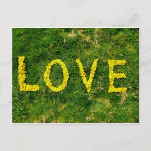 Dandelion-Liebe Postkarte (Vorderseite)