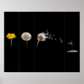 Dandelion Life Cycle Poster/Print Poster (Vorne)