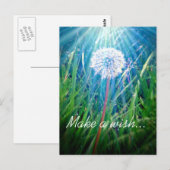 Dandelion Macro Postkarte (Vorne/Hinten)