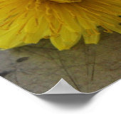 Dandelion Macro Shot Poster (Ecke)