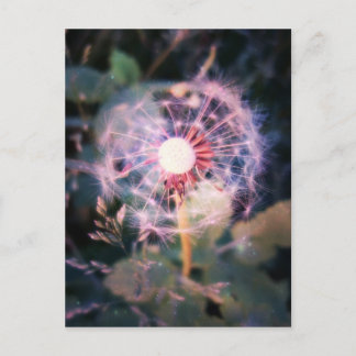 Dandelion Magic Postkarte
