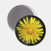 Dandelion Magnet (Vorderseite/Rückseite)
