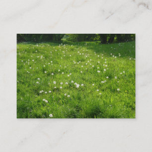 Dandelion Meadow 01 Visitenkarte