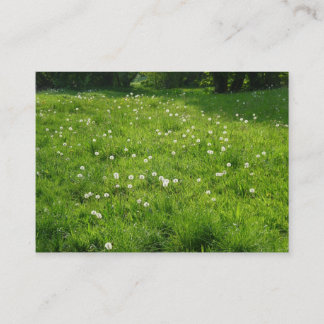 Dandelion Meadow 01 Visitenkarte