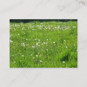 Dandelion Meadow 02 Visitenkarte
