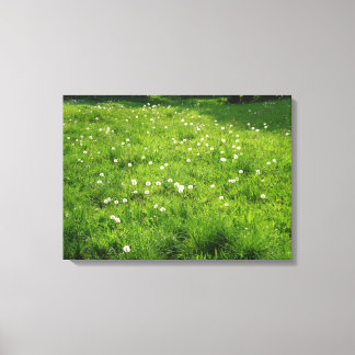 Dandelion Meadow Leinwanddruck