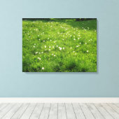 Dandelion Meadow Leinwanddruck (Insitu (Holzboden))