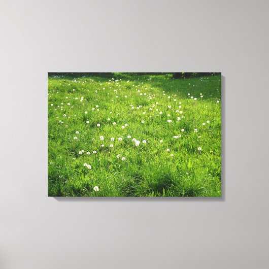 Dandelion Meadow Leinwanddruck (Vorderseite)