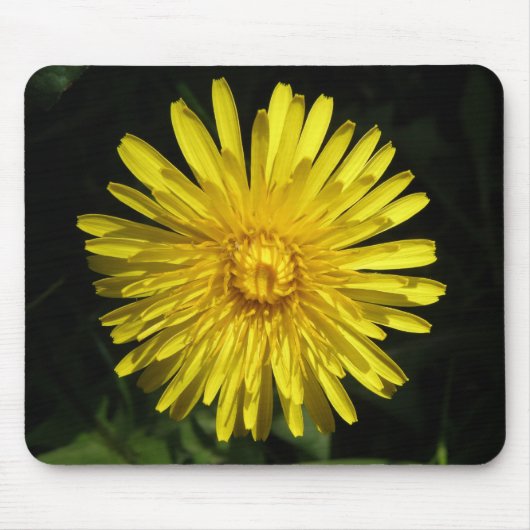 Dandelion Mousepad (Vorne)
