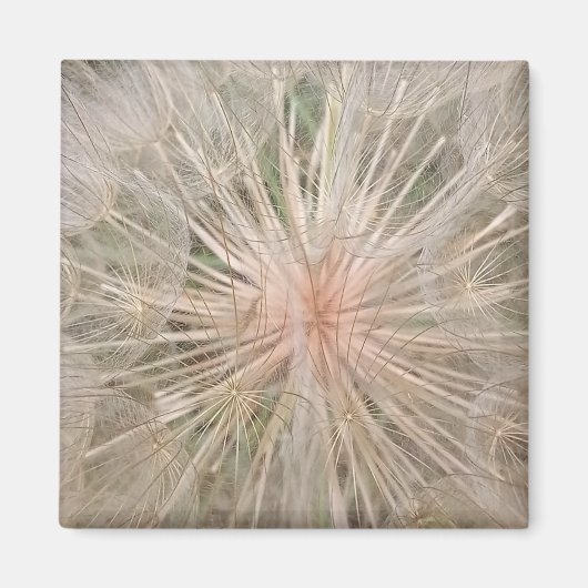 Dandelion Nah Up Magnet (Vorne)