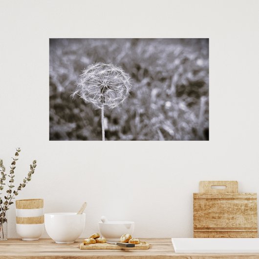Dandelion - Noir, Poster (Küche)