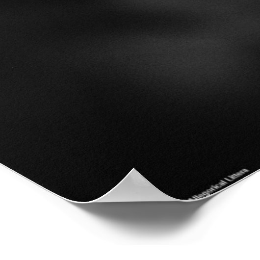 Dandelion - Noir, Poster (Ecke)