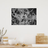 Dandelion - noir, poster (Küche)