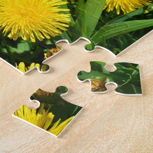 Dandelion Patch Puzzle (Seite)