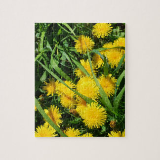 Dandelion Patch Puzzle