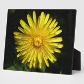 Dandelion Plaque Fotoplatte (Seite)