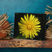 Dandelion Plaque Fotoplatte (Seite)