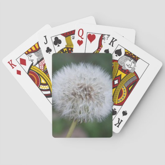 Dandelion Playing Cards Spielkarten (Rückseite)