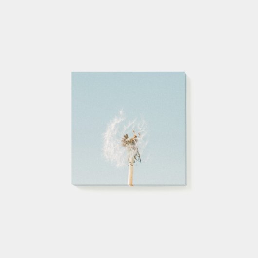 Dandelion Post-It Klebezettel (Vorderseite)