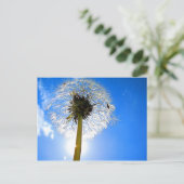 Dandelion Postcard Postkarte (Stehend Vorderseite)