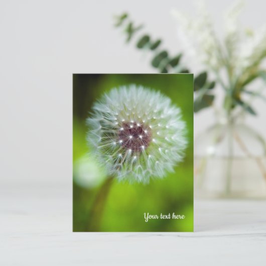 Dandelion Postcard Postkarte (Stehend Vorderseite)