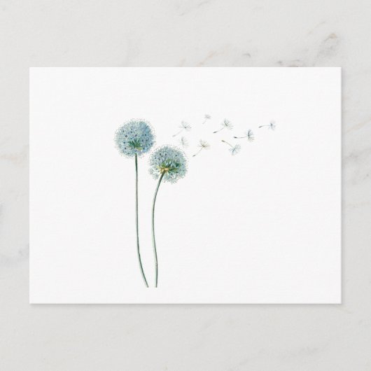 Dandelion Postcard Postkarte (Vorderseite)