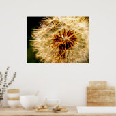 DANDELION POSTER (Küche)