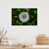 Dandelion, Poster (Küche)