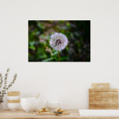 Dandelion, Poster (Küche)