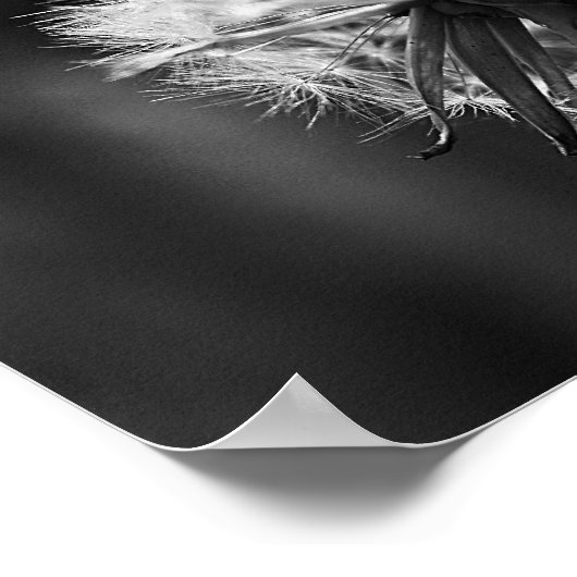 Dandelion Poster (Ecke)