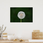 Dandelion, Poster (Küche)