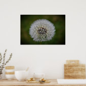 Dandelion, Poster (Küche)
