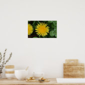 Dandelion, Poster (Küche)