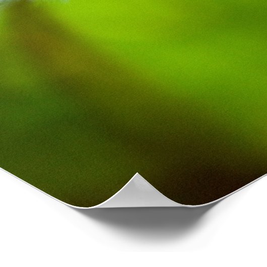 Dandelion Poster (Ecke)