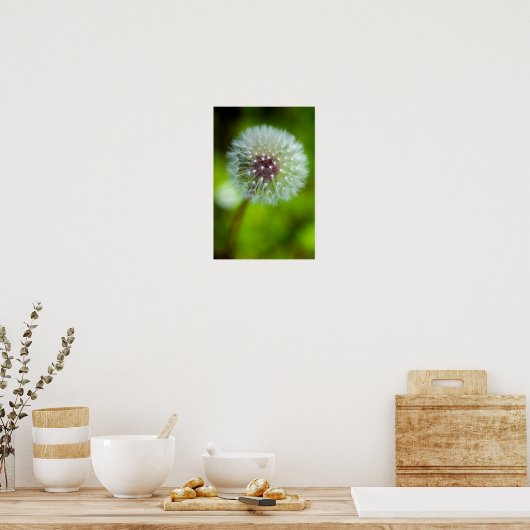 Dandelion Poster (Küche)