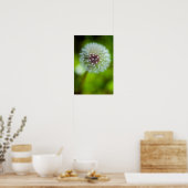 Dandelion Poster (Küche)
