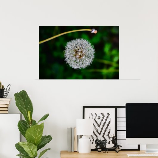 Dandelion, Poster (Heimbüro)