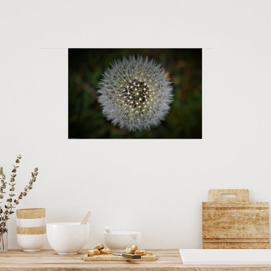 Dandelion, Poster (Küche)