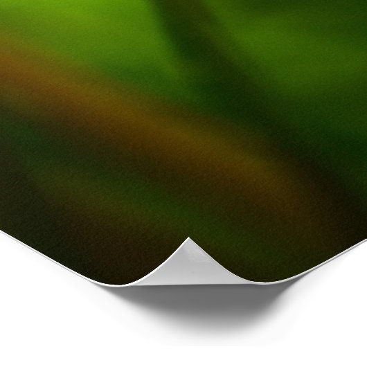 Dandelion, Poster (Ecke)