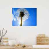 Dandelion Poster (Küche)