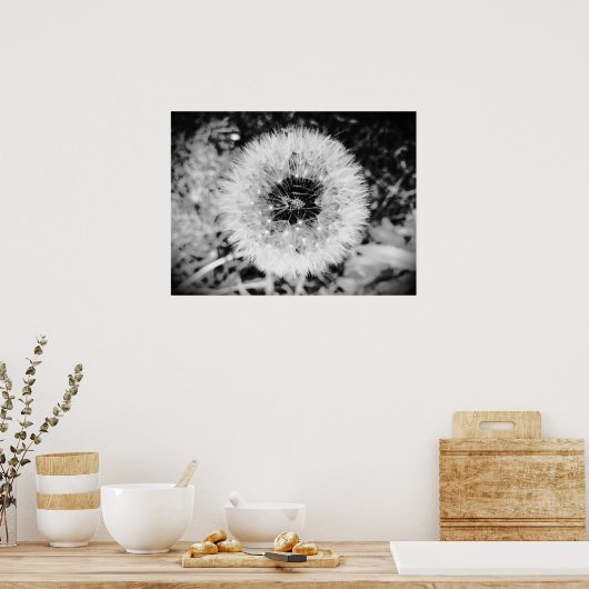 Dandelion, Poster (Küche)