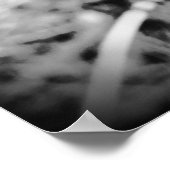 Dandelion, Poster (Ecke)