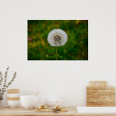 Dandelion, Poster (Küche)
